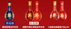 基基因组的机制阐发